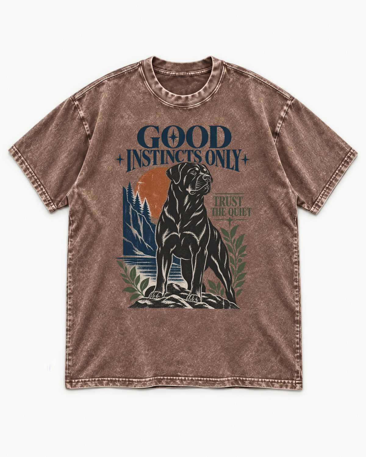 Good Instincts Only Rottweiler Washed Tee in Coffee, flat lay product photo