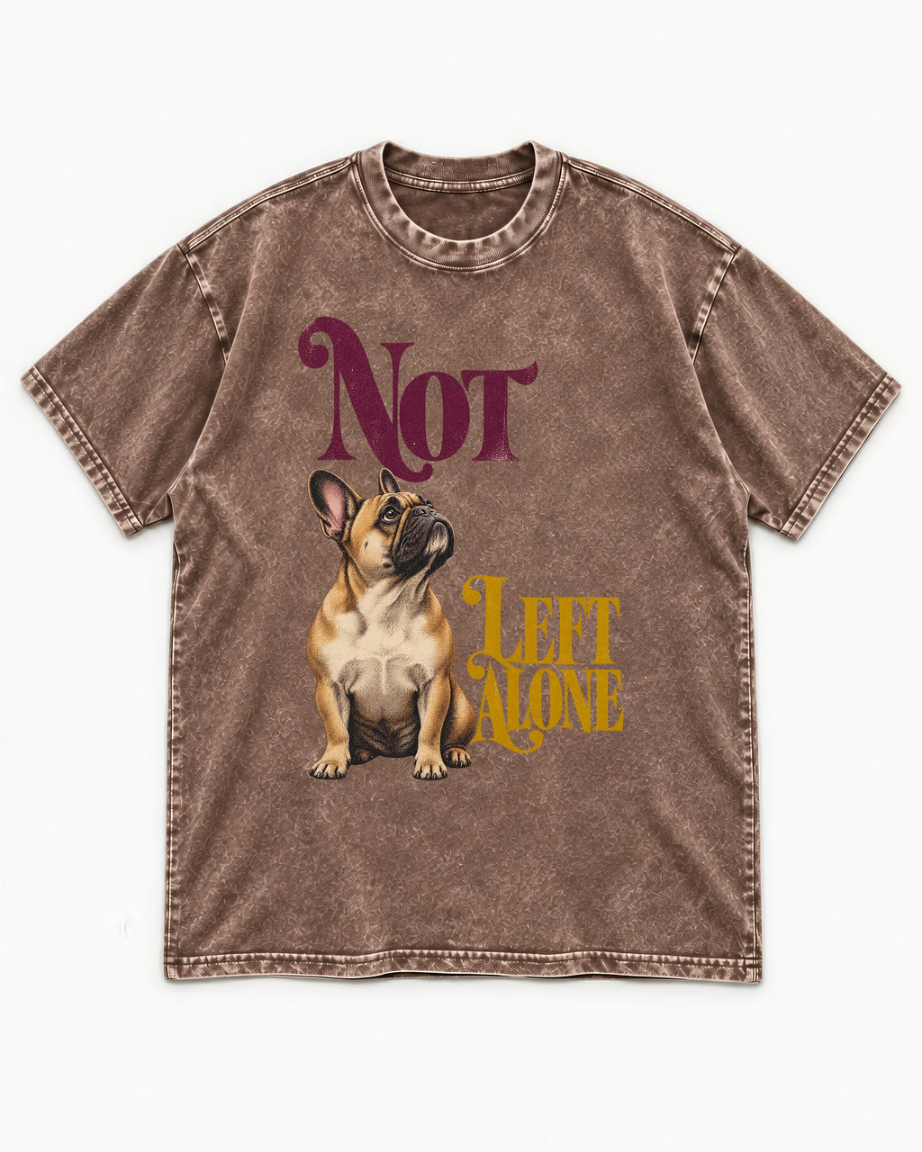 Frenchie Not Left Alone Washed Tee in Coffee, flat lay product photo