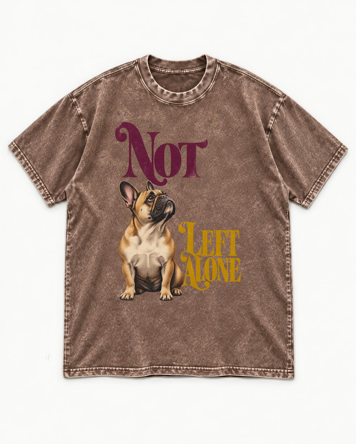 Frenchie Not Left Alone Washed Tee in Coffee, flat lay product photo