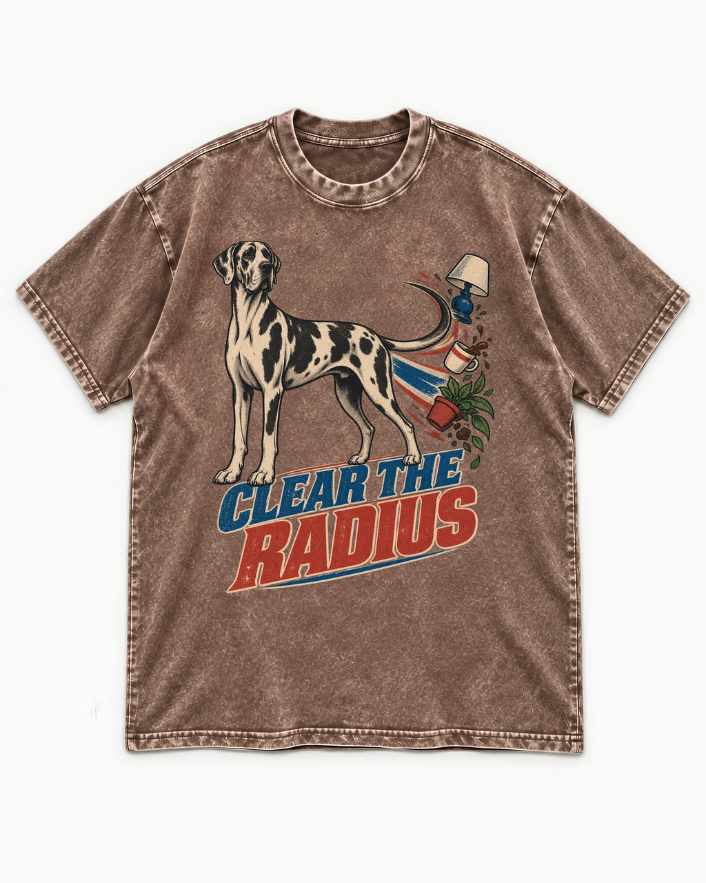 Great Dane Clear the Radius Washed Tee in Coffee, flat lay product photo