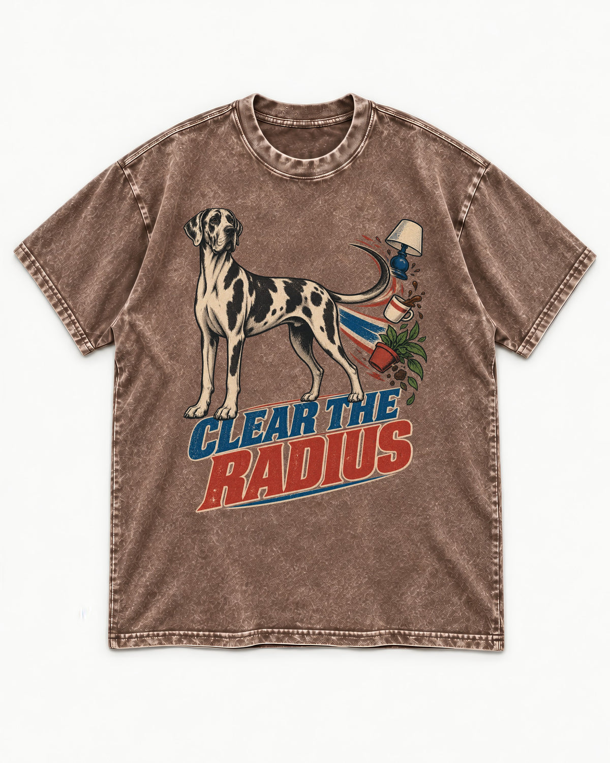 Great Dane Clear the Radius Washed Tee in Coffee, flat lay product photo