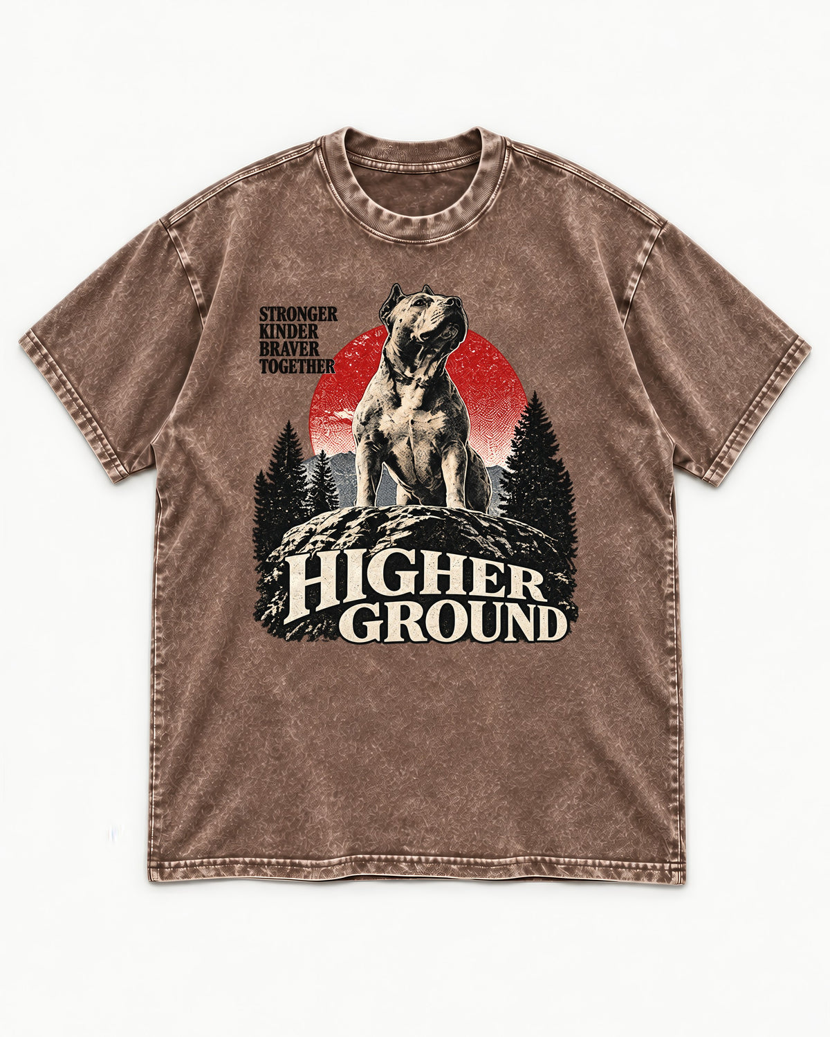 Pitbull Higher Ground Washed Tee in Coffee, flat lay product photo