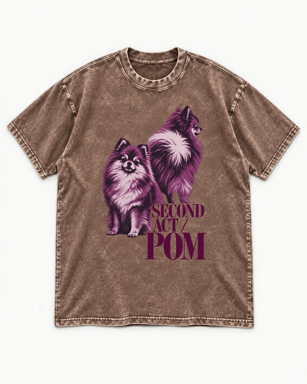 Second Act Pomeranian Washed Tee in Coffee, flat lay product photo