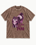 Second Act Pomeranian Washed Tee in Coffee, flat lay product photo