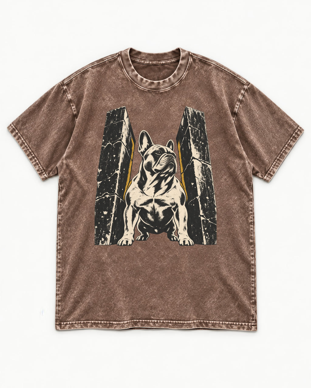 Frenchie Unbreakable Washed Tee in Coffee, flat lay product photo