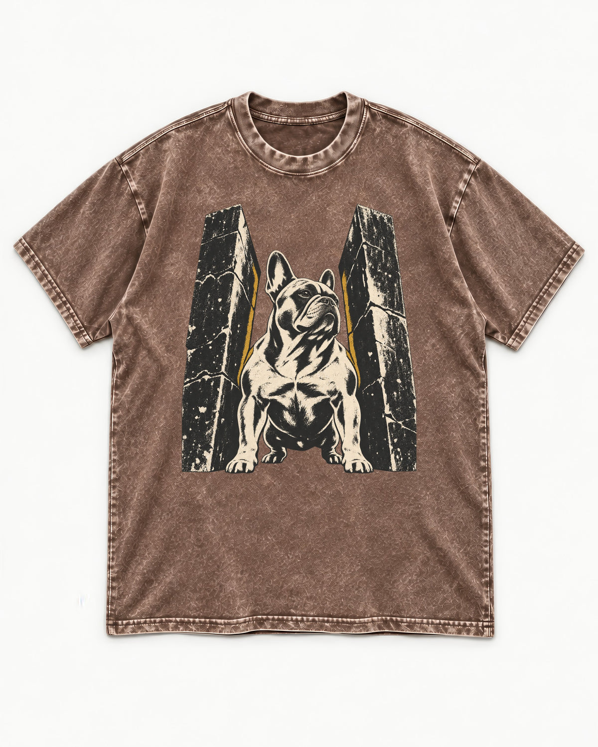 Frenchie Unbreakable Washed Tee in Coffee, flat lay product photo