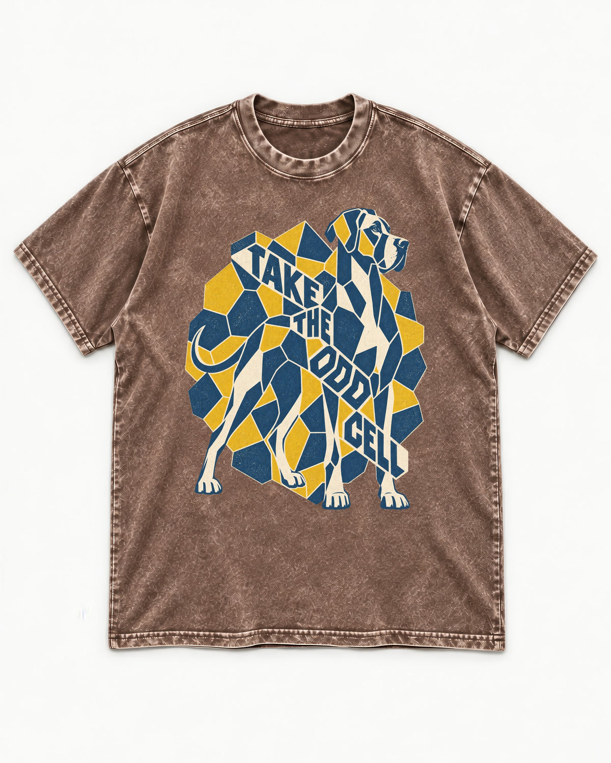 Take the Odd Cell Great Dane Washed Tee in Coffee, flat lay product photo