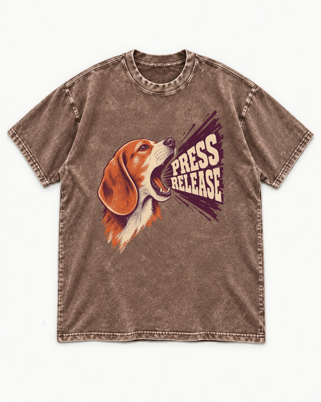 Beagle Press Release Washed Tee in Coffee, flat lay product photo
