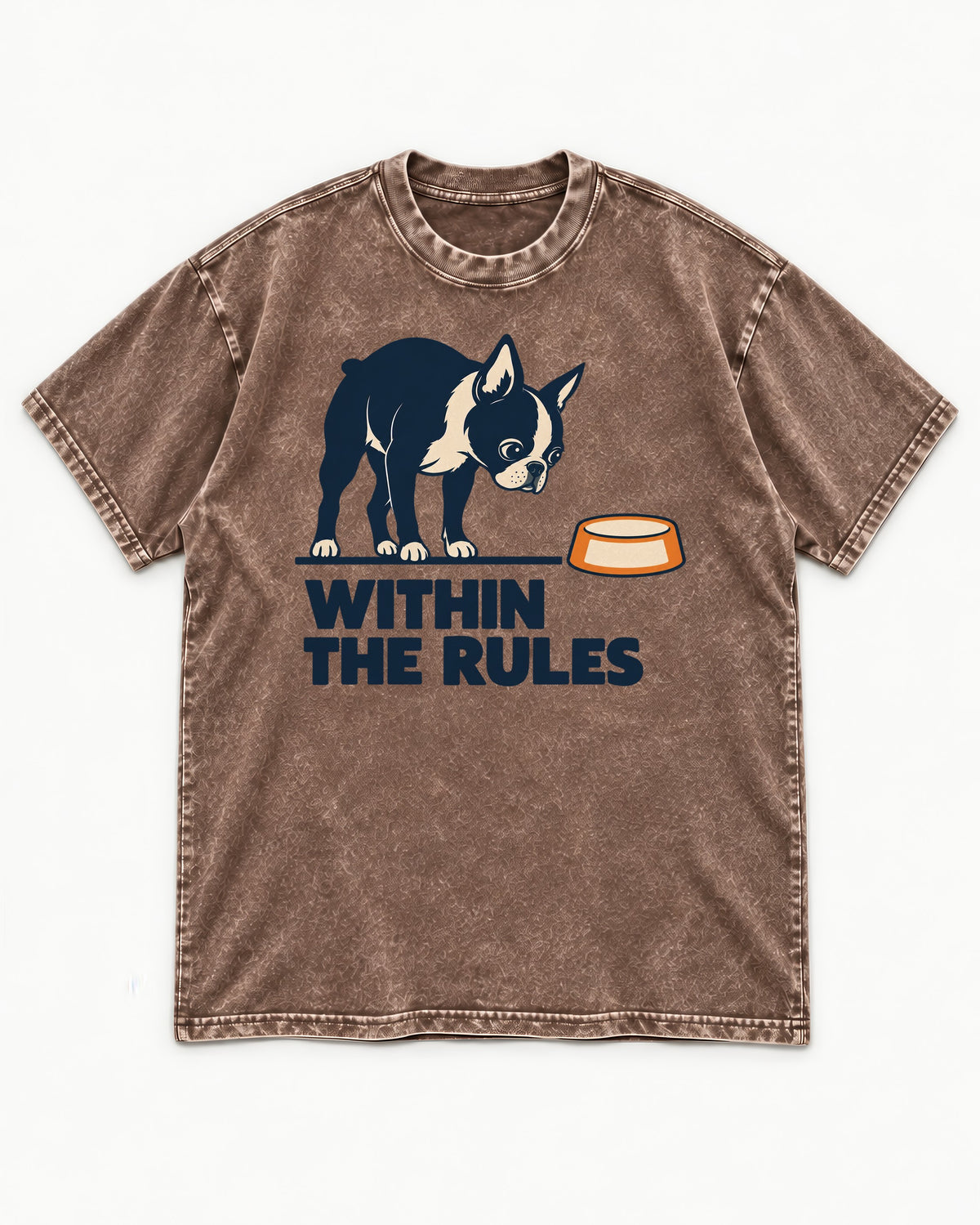 Within the Rules Boston Terrier Washed Tee in Coffee, flat lay product photo
