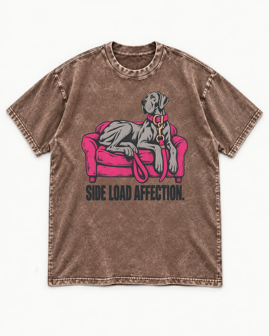 Great Dane Side Load Affection Washed Tee in Coffee, flat lay product photo