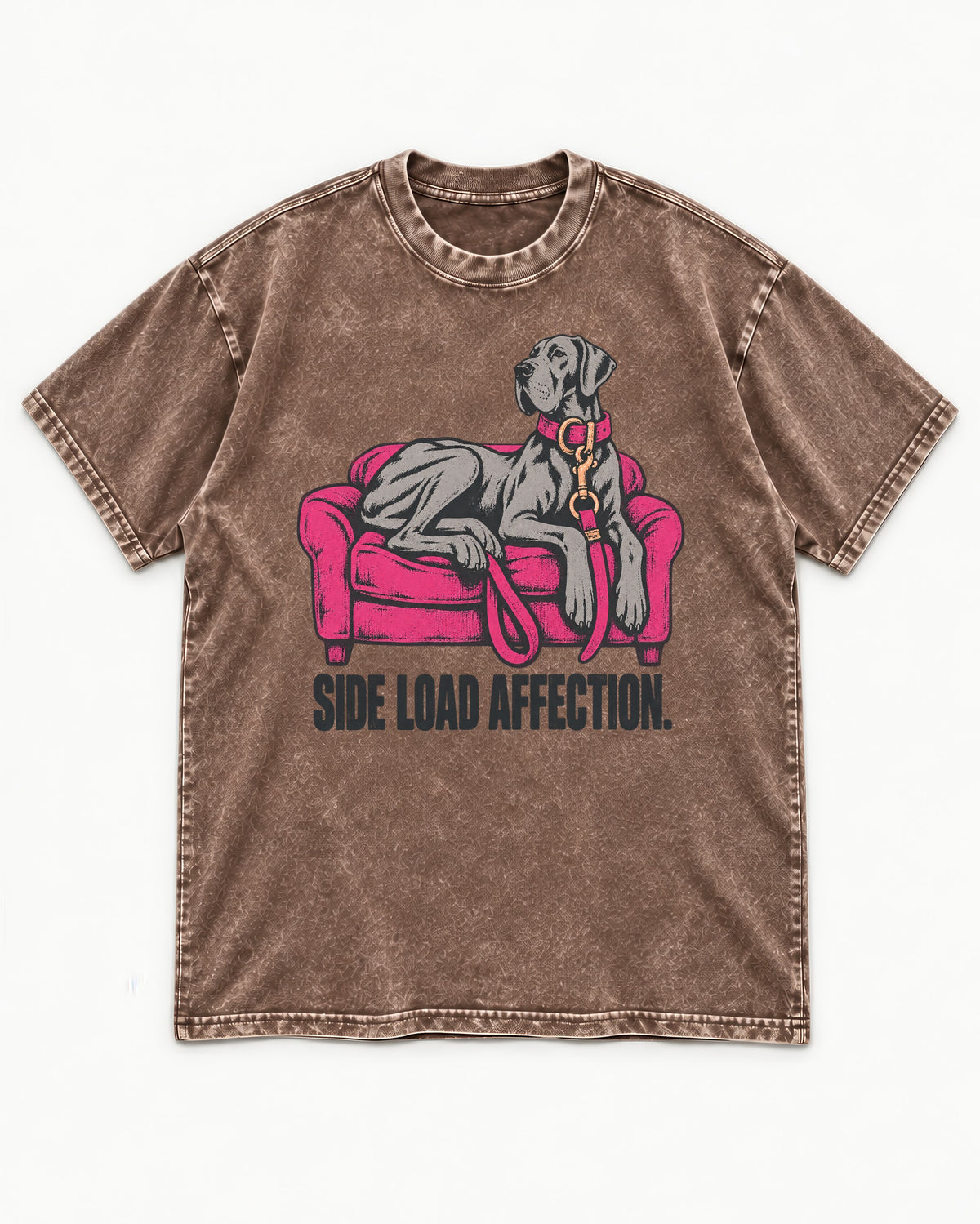 Great Dane Side Load Affection Washed Tee in Coffee, flat lay product photo