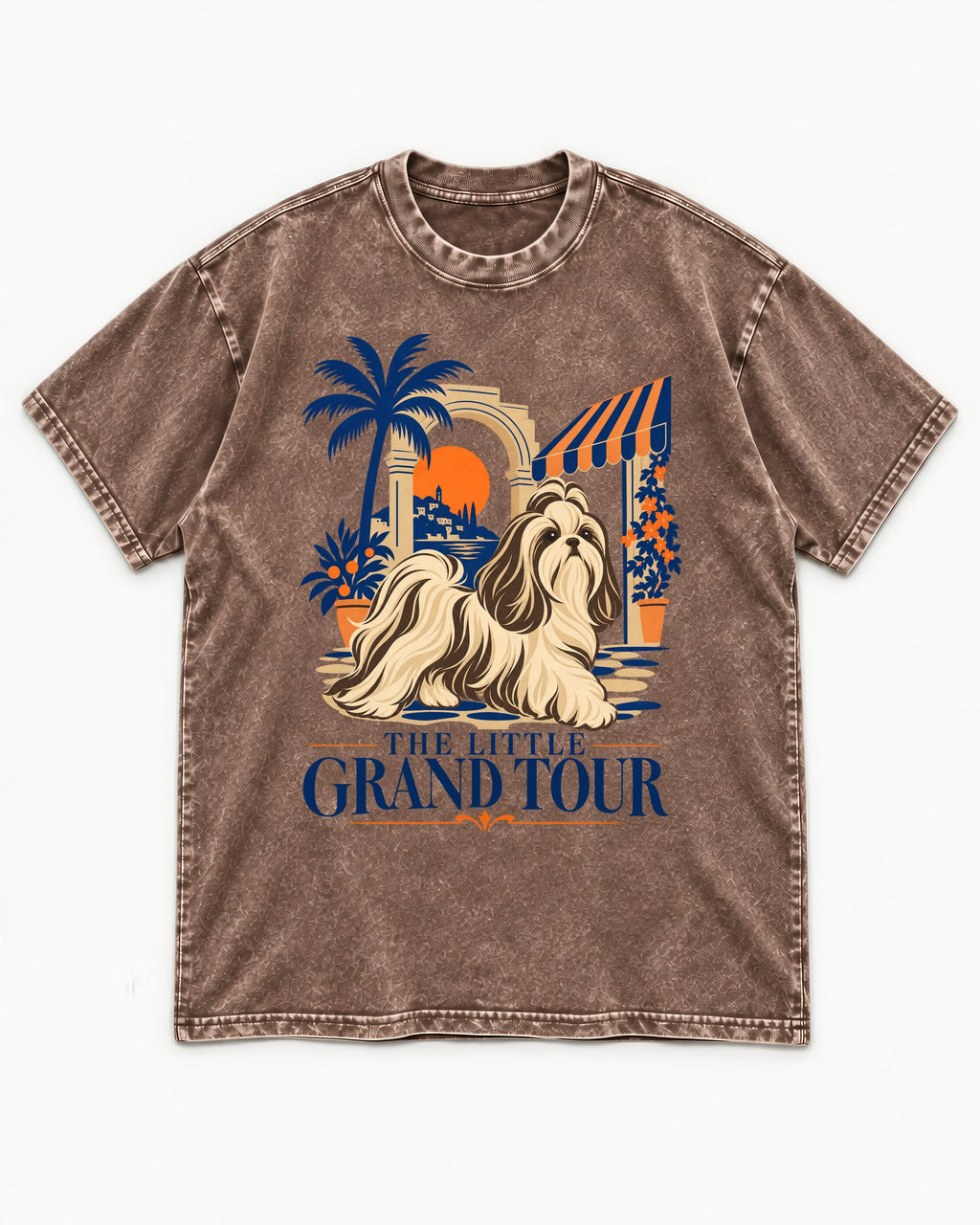 Shih Tzu The Little Grand Tour Mediterranean Courtyard Graphic Washed Tee in Coffee, flat lay product photo