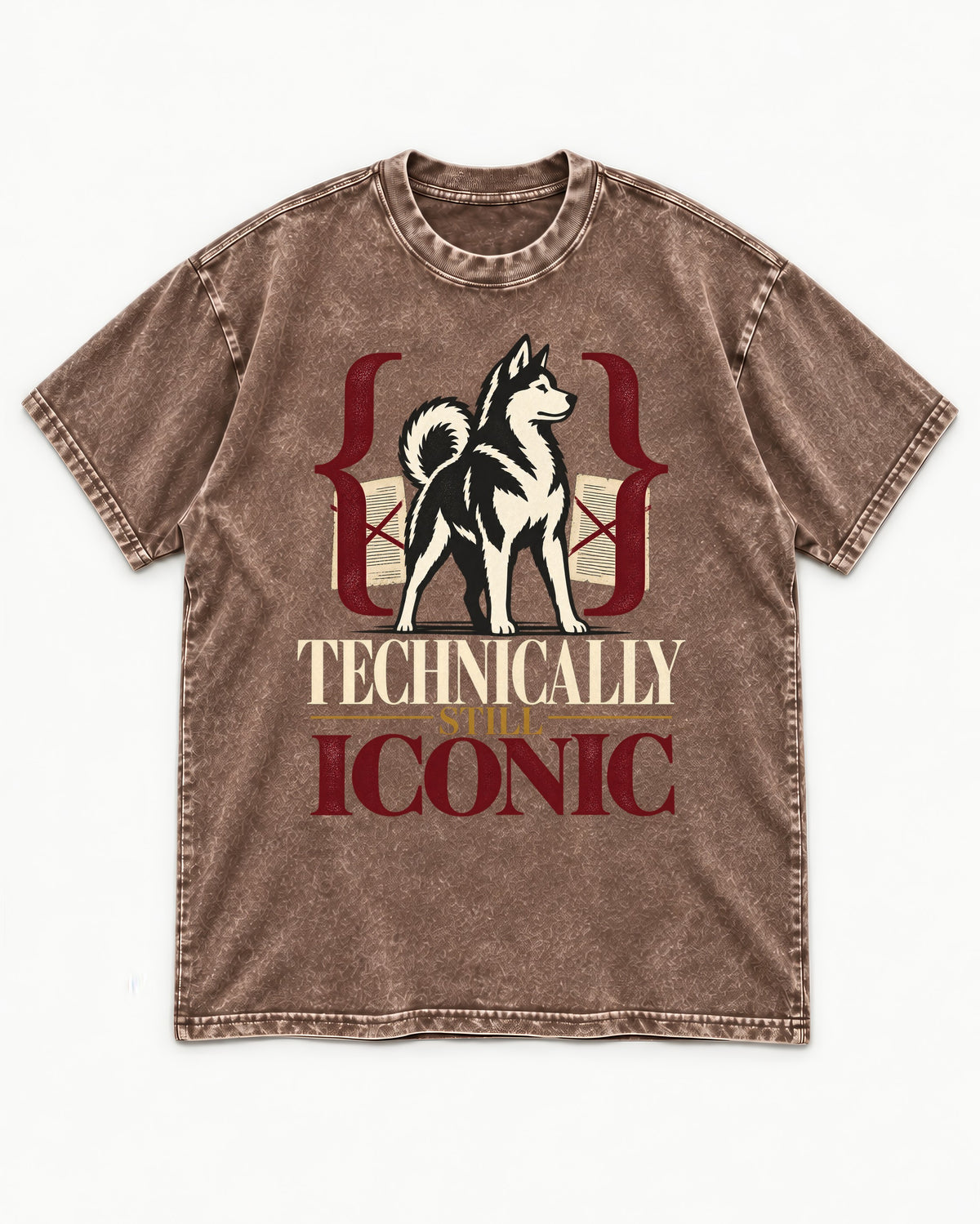 Husky Technically Still Iconic Editorial Frame Graphic Washed Tee in Coffee, flat lay product photo