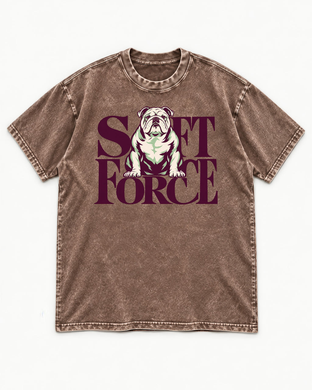 Set Force English Bulldog Washed Tee in Coffee, flat lay product photo