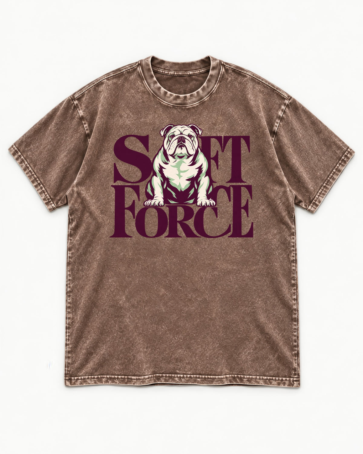Set Force English Bulldog Washed Tee in Coffee, flat lay product photo