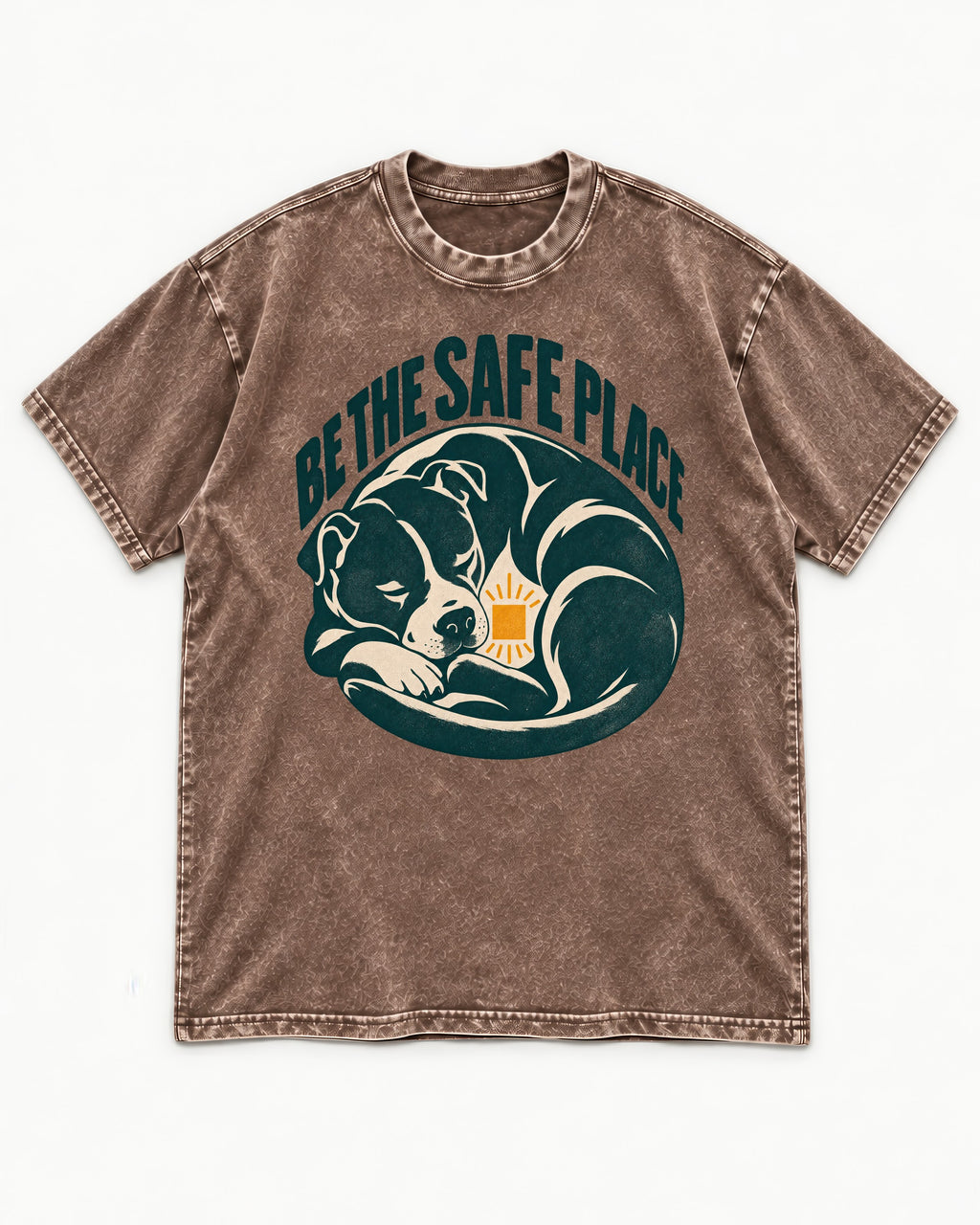 Pitbull Safe Place Washed Tee in Coffee, flat lay product photo