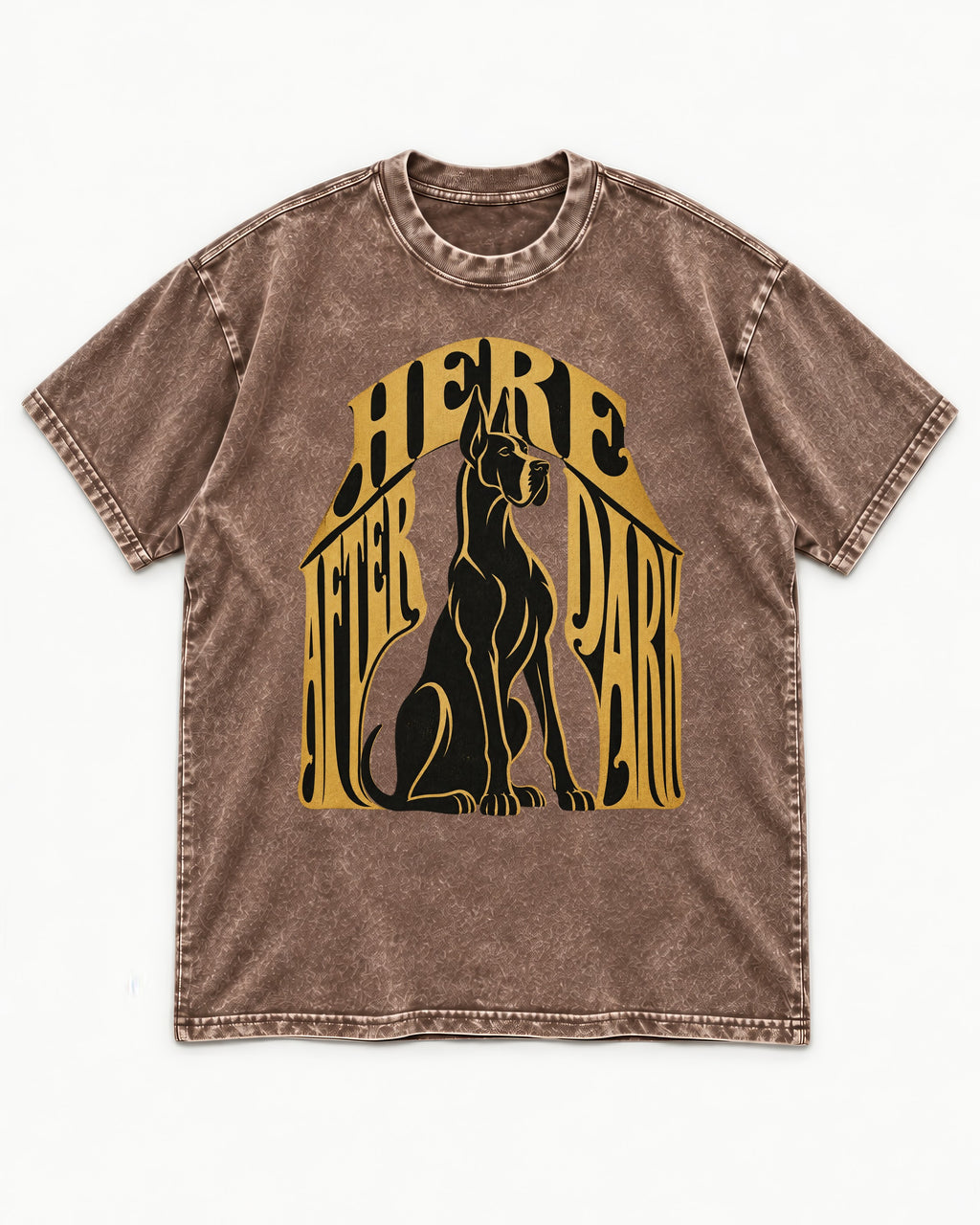 Great Dane Here After Dark Washed Tee in Coffee, flat lay product photo