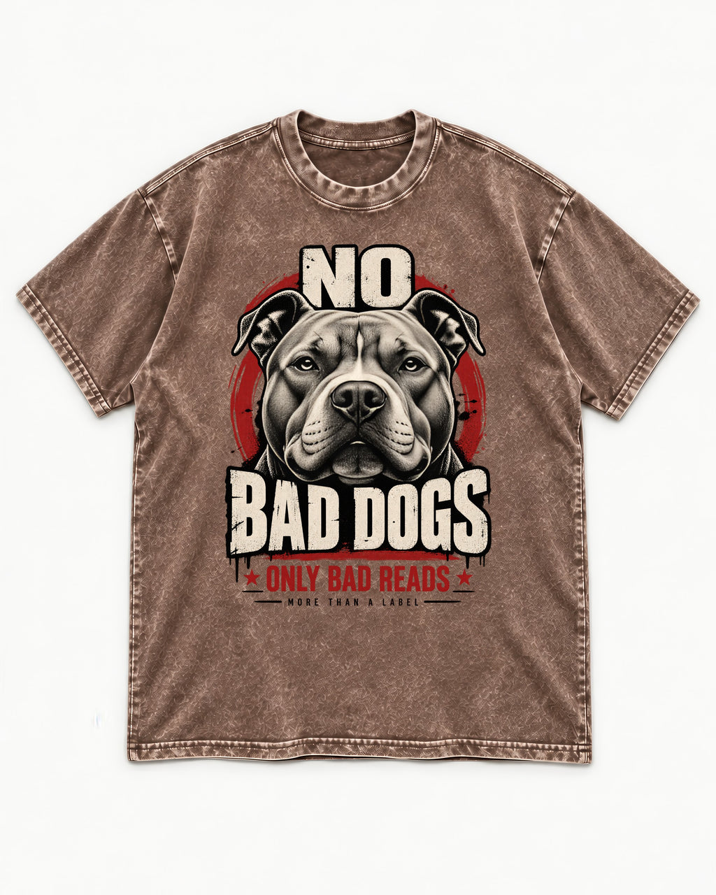 Pitbull Only Bad Reads Washed Tee in Coffee, flat lay product photo