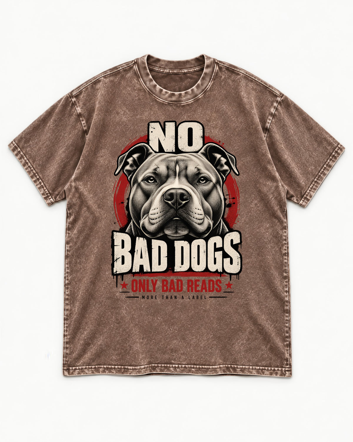 Pitbull Only Bad Reads Washed Tee in Coffee, flat lay product photo