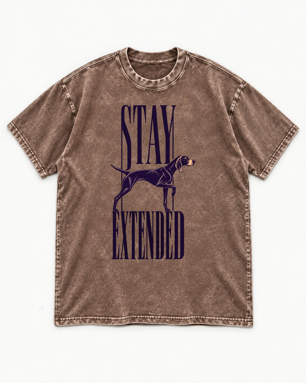 Stay Extended German Shorthaired Pointer Washed Tee in Coffee, flat lay product photo