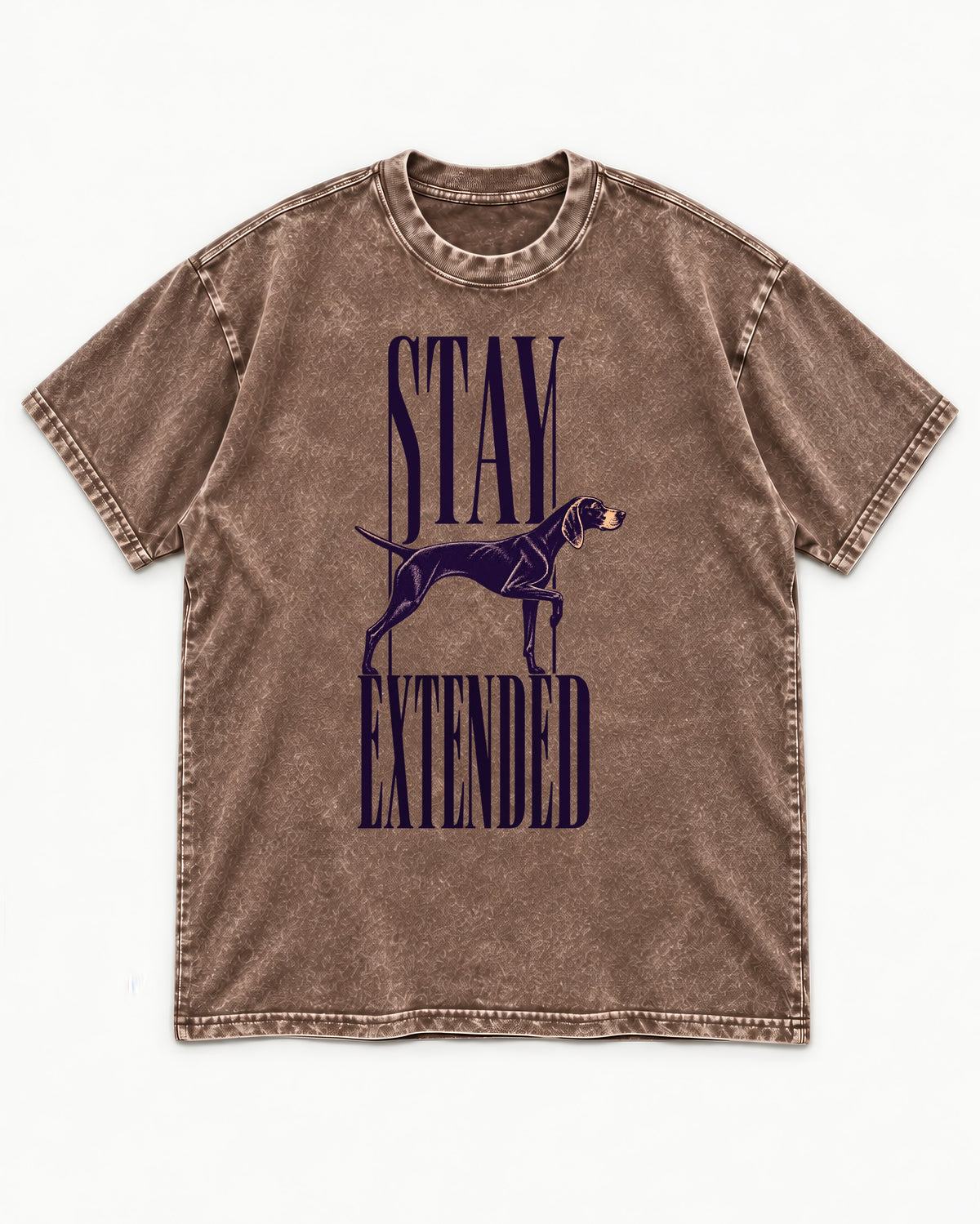 Stay Extended German Shorthaired Pointer Washed Tee in Coffee, flat lay product photo