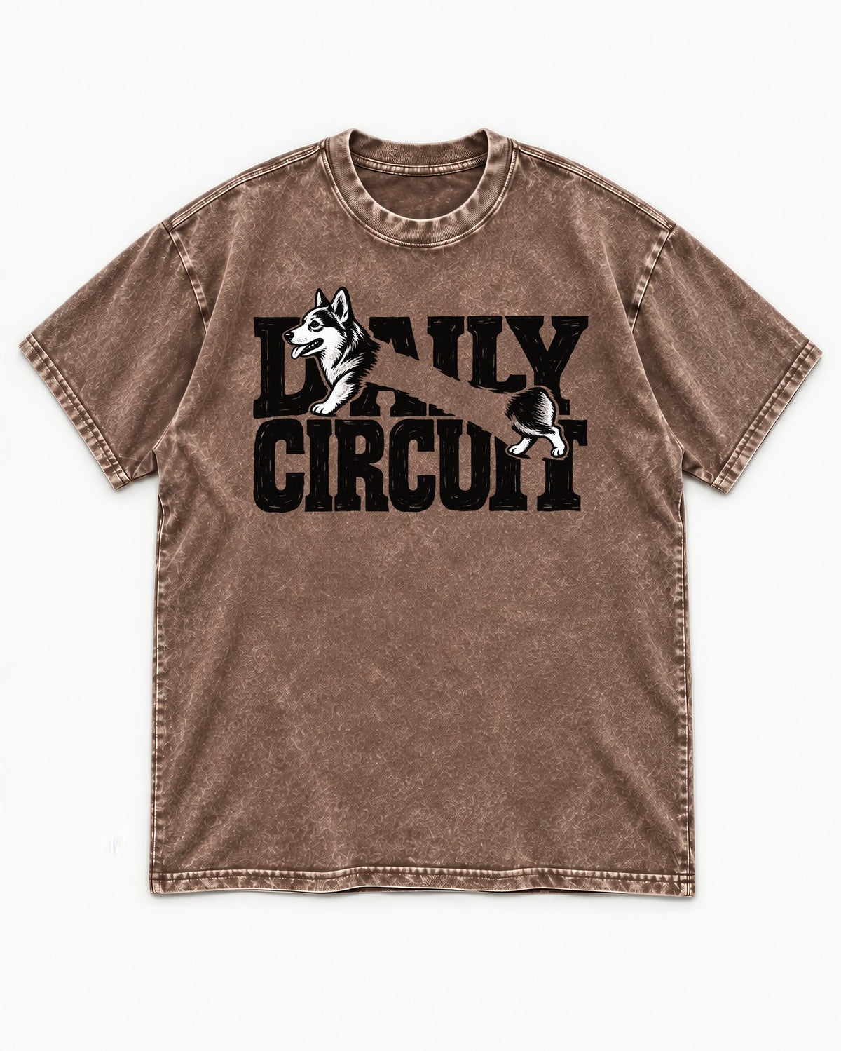 Daily Corgi Circuit Washed Tee in Coffee, flat lay product photo