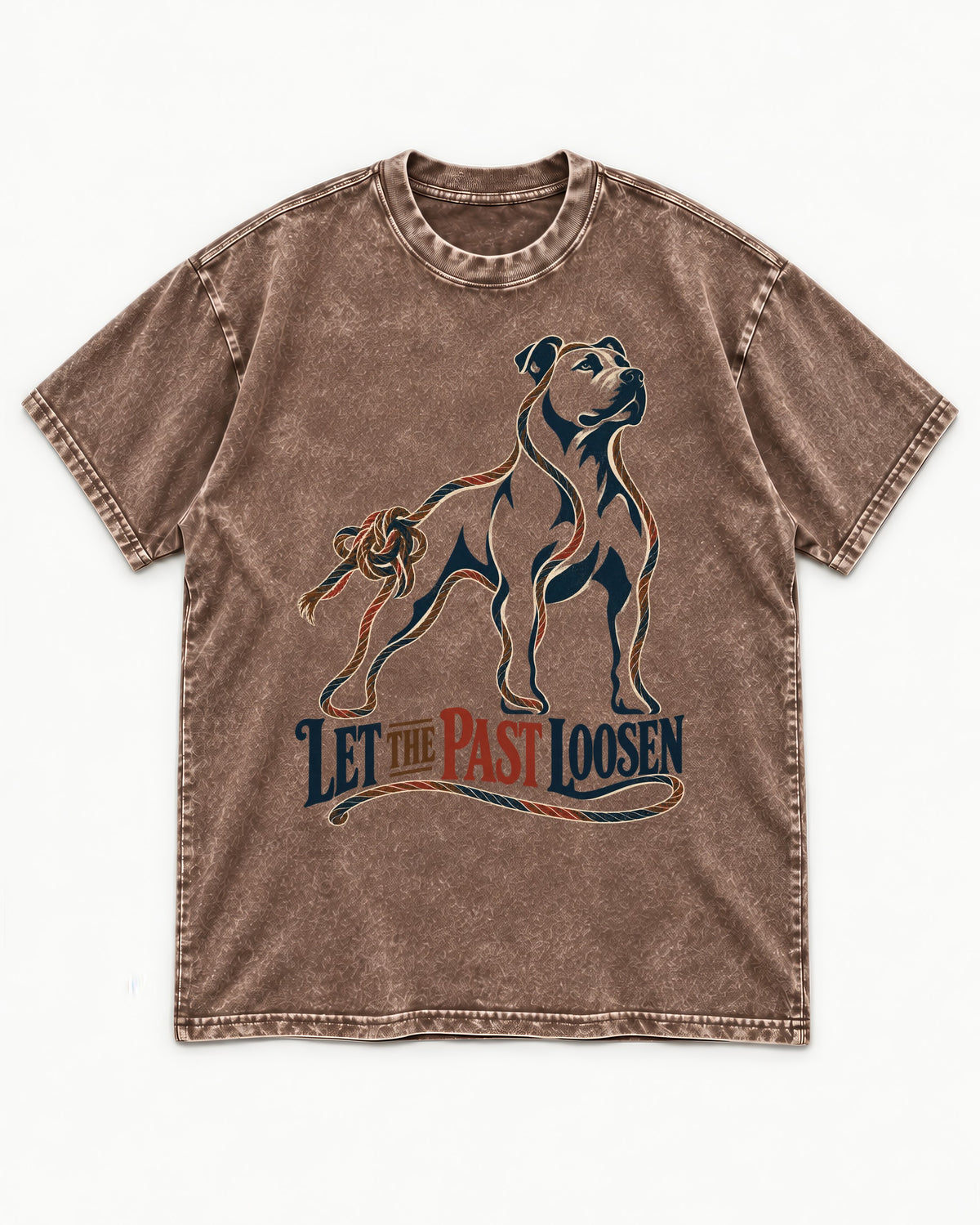 Pitbull Let the Past Loosen Washed Tee in Coffee, flat lay product photo