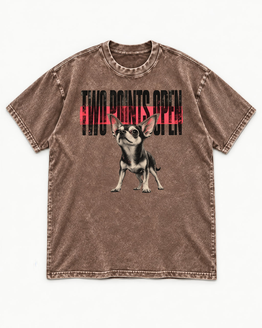 Two Points Open Chihuahua Washed Tee in Coffee, flat lay product photo