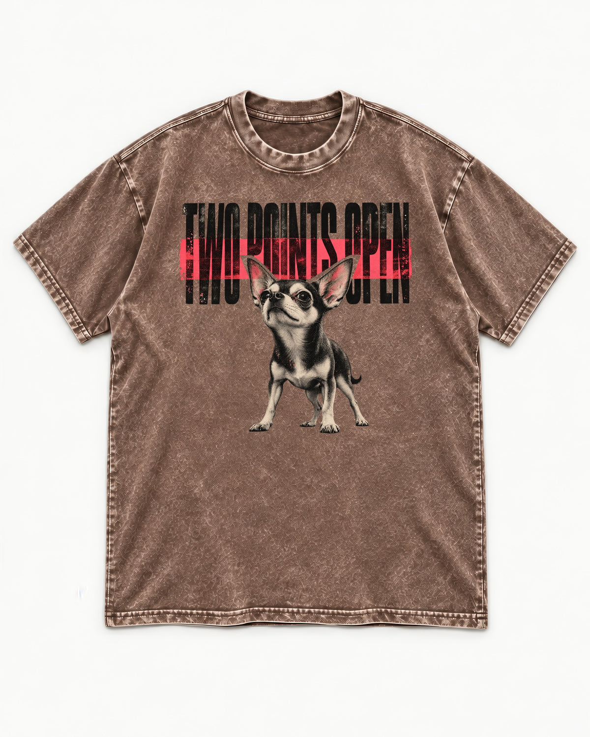 Two Points Open Chihuahua Washed Tee in Coffee, flat lay product photo