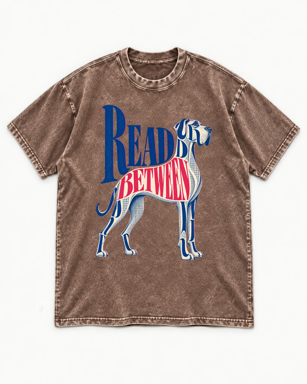 Read Between the Lines Great Dane Washed Tee in Coffee, flat lay product photo