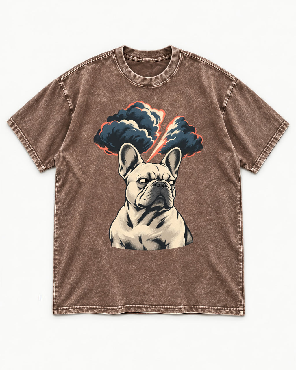 Frenchie Storm Warning Washed Tee in Coffee, flat lay product photo