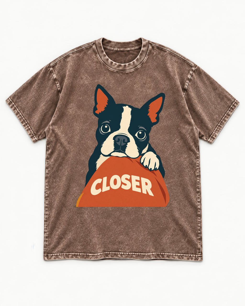 Come Closer Boston Terrier Washed Tee in Coffee, flat lay product photo