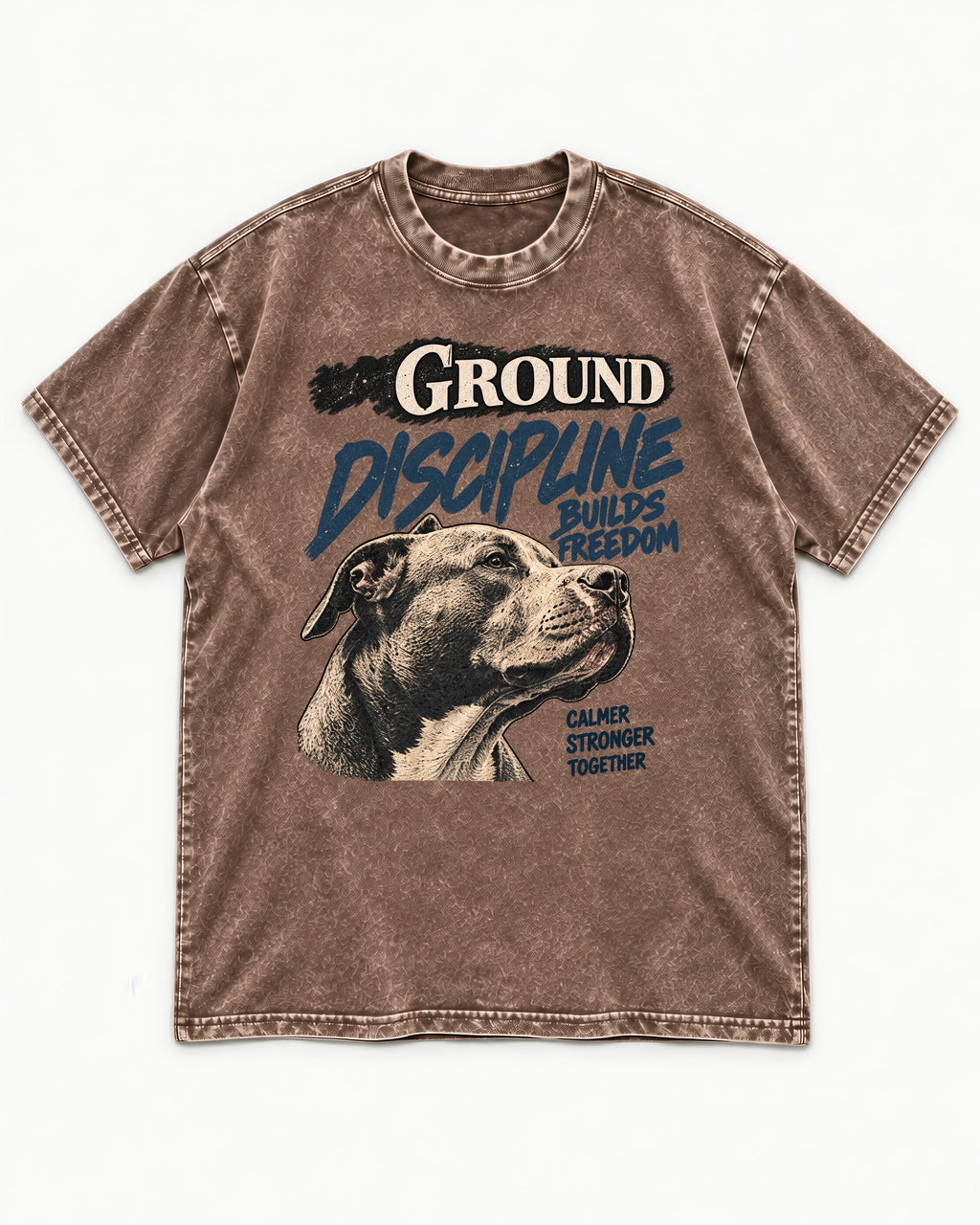 Pitbull Discipline Builds Freedom Washed Tee in Coffee, flat lay product photo