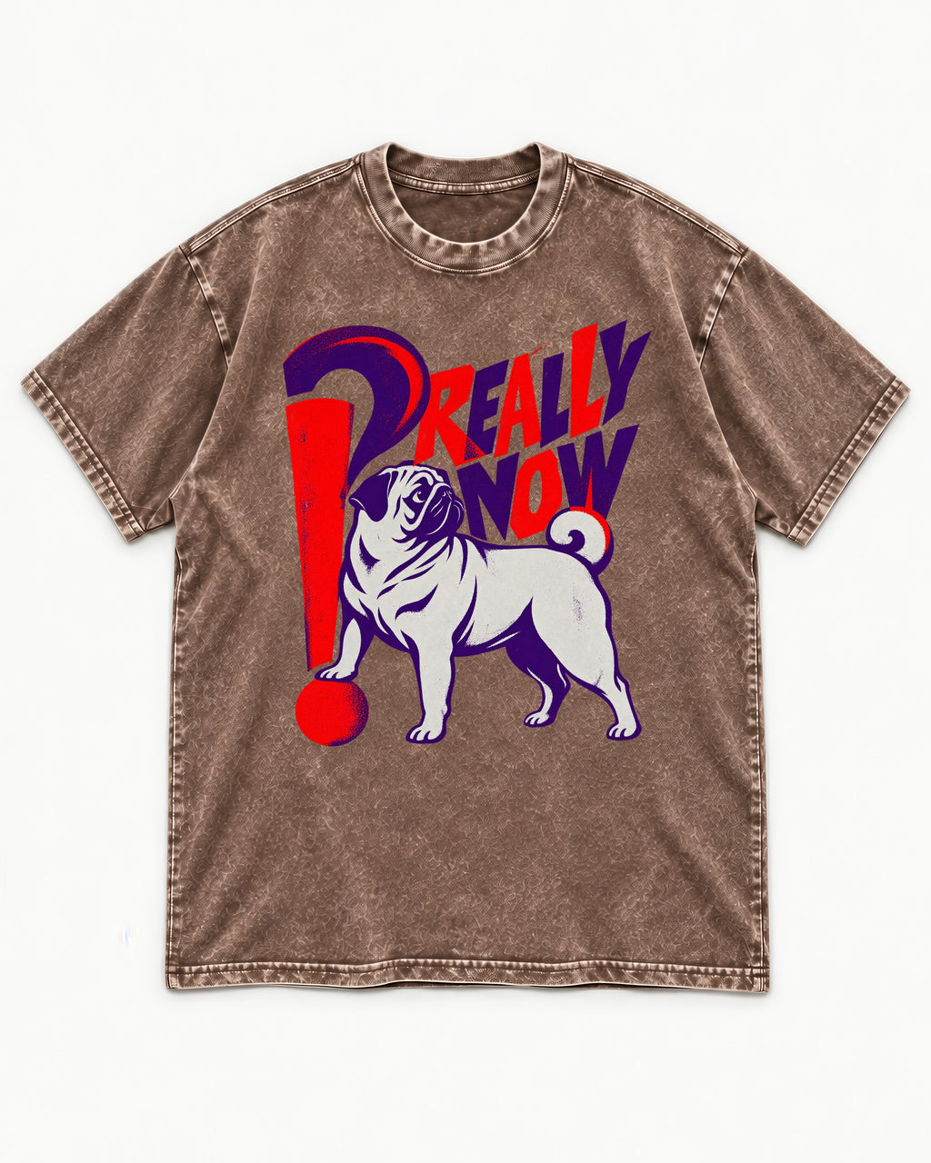 Really Now Pug Washed Tee in Coffee, flat lay product photo