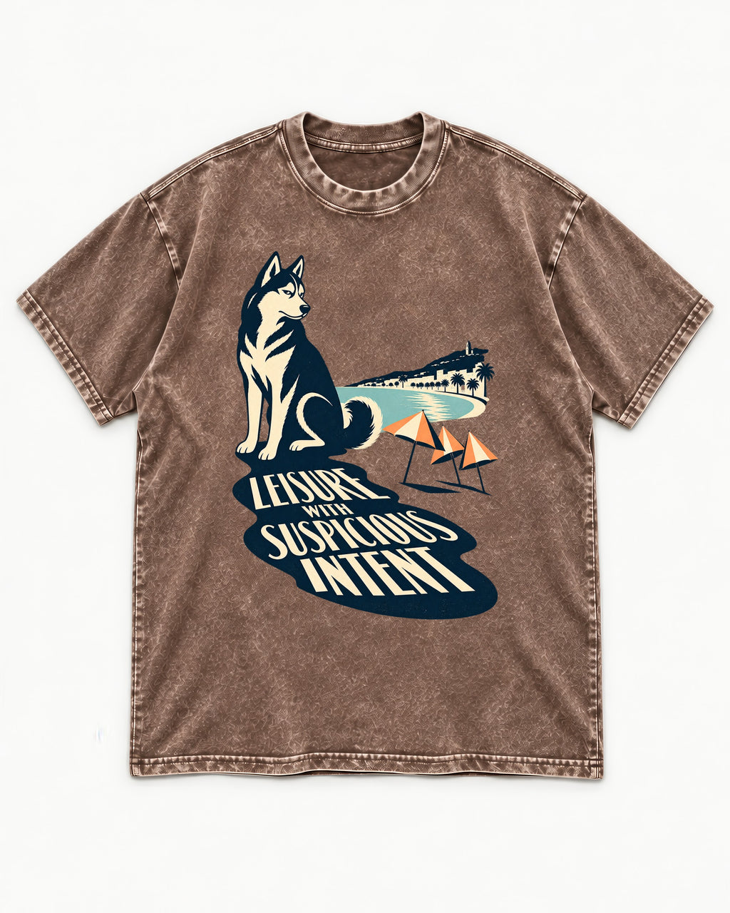 Husky Leisure with Suspicious Intent Washed Tee in Coffee, flat lay product photo