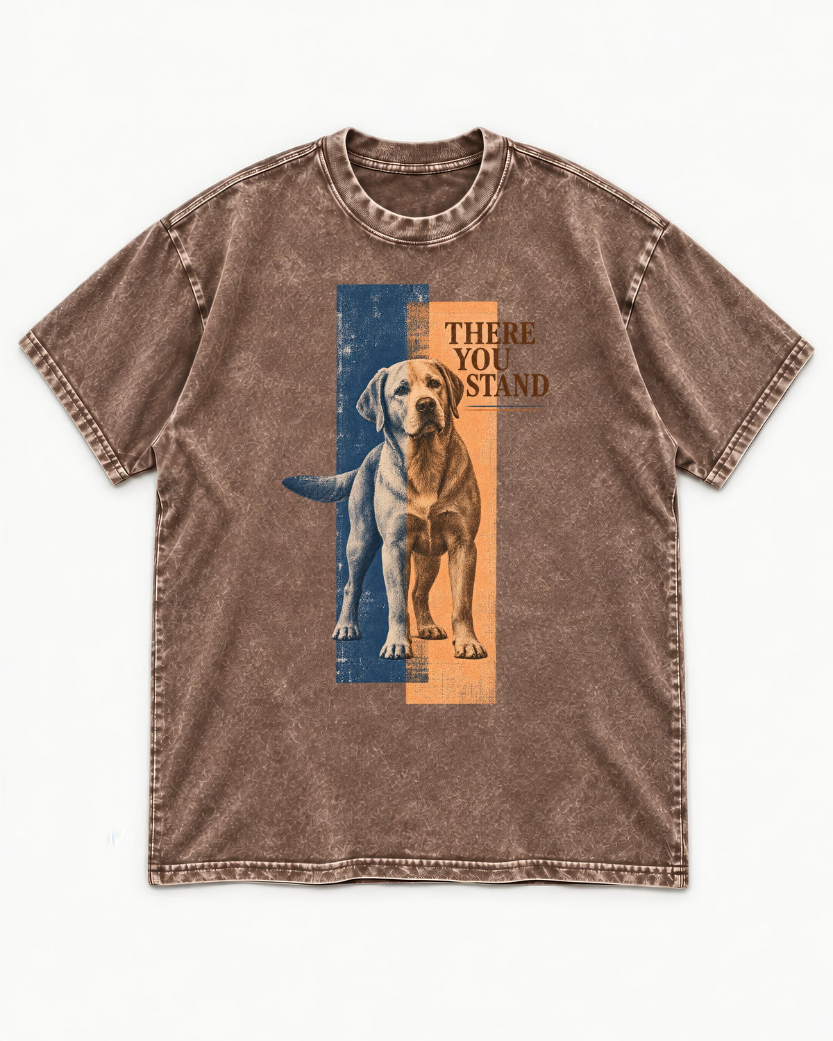 There You Stand Labrador Retriever Washed Tee in Coffee, flat lay product photo