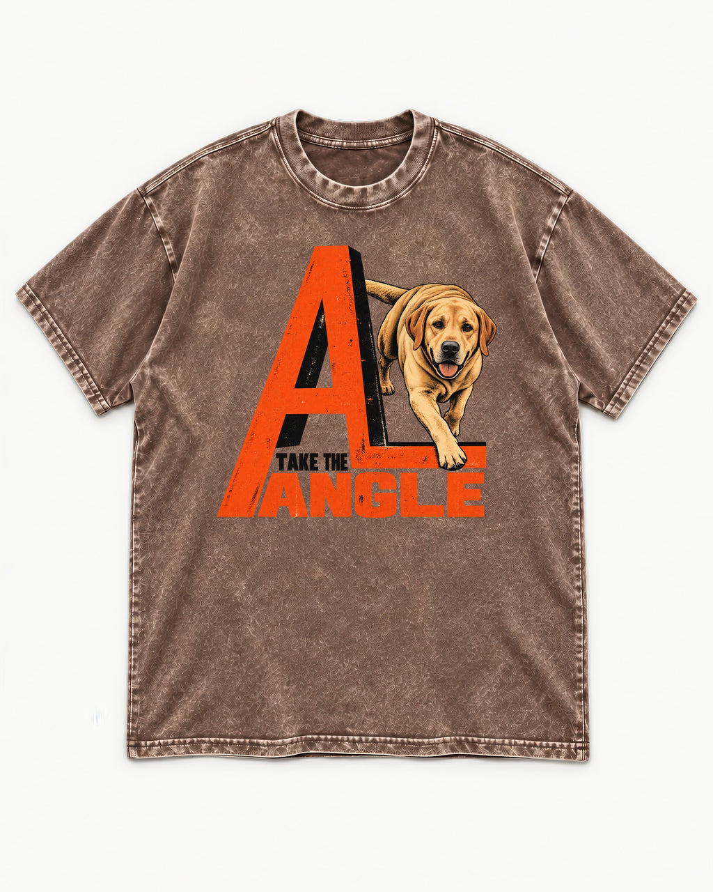 Take the Angle Labrador Retriever Washed Tee in Coffee, flat lay product photo