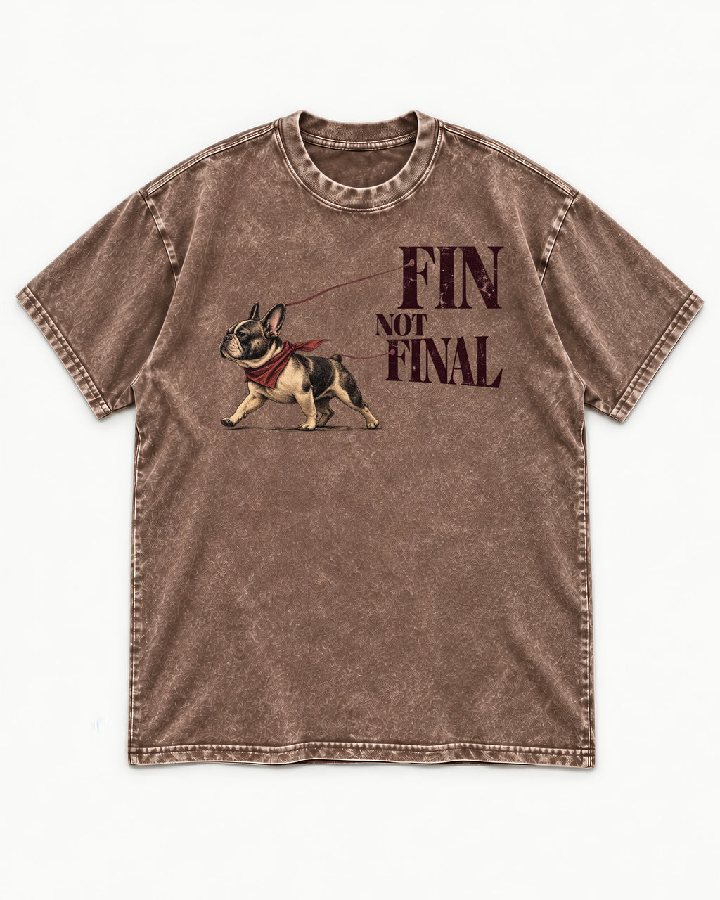 Frenchie Fin Not Final Washed Tee in Coffee, flat lay product photo