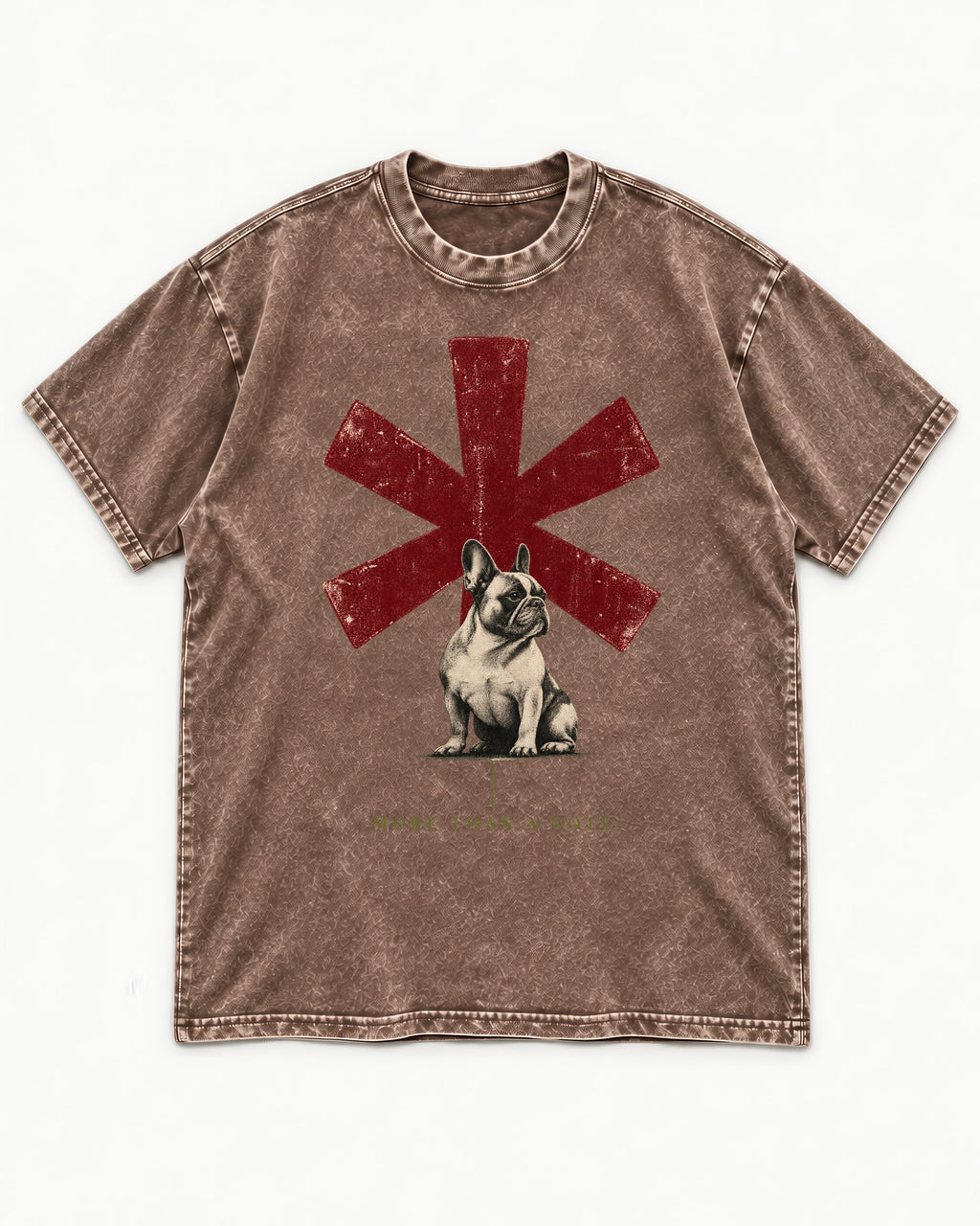 Frenchie More Than a Note Washed Tee in Coffee, flat lay product photo