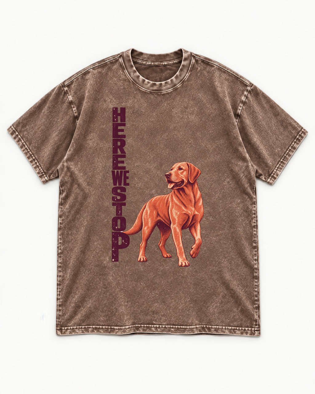 Here We Stop Labrador Retriever Washed Tee in Coffee, flat lay product photo