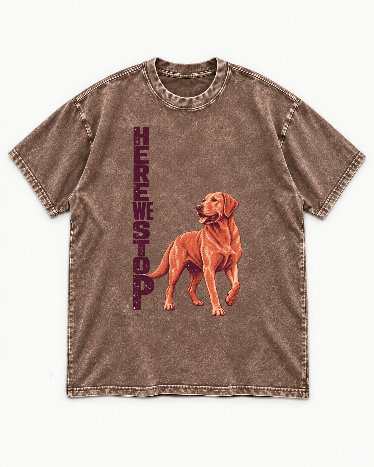 Here We Stop Labrador Retriever Washed Tee in Coffee, flat lay product photo