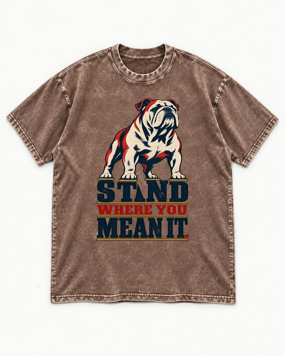 English Bulldog Stand Washed Tee in Coffee, flat lay product photo