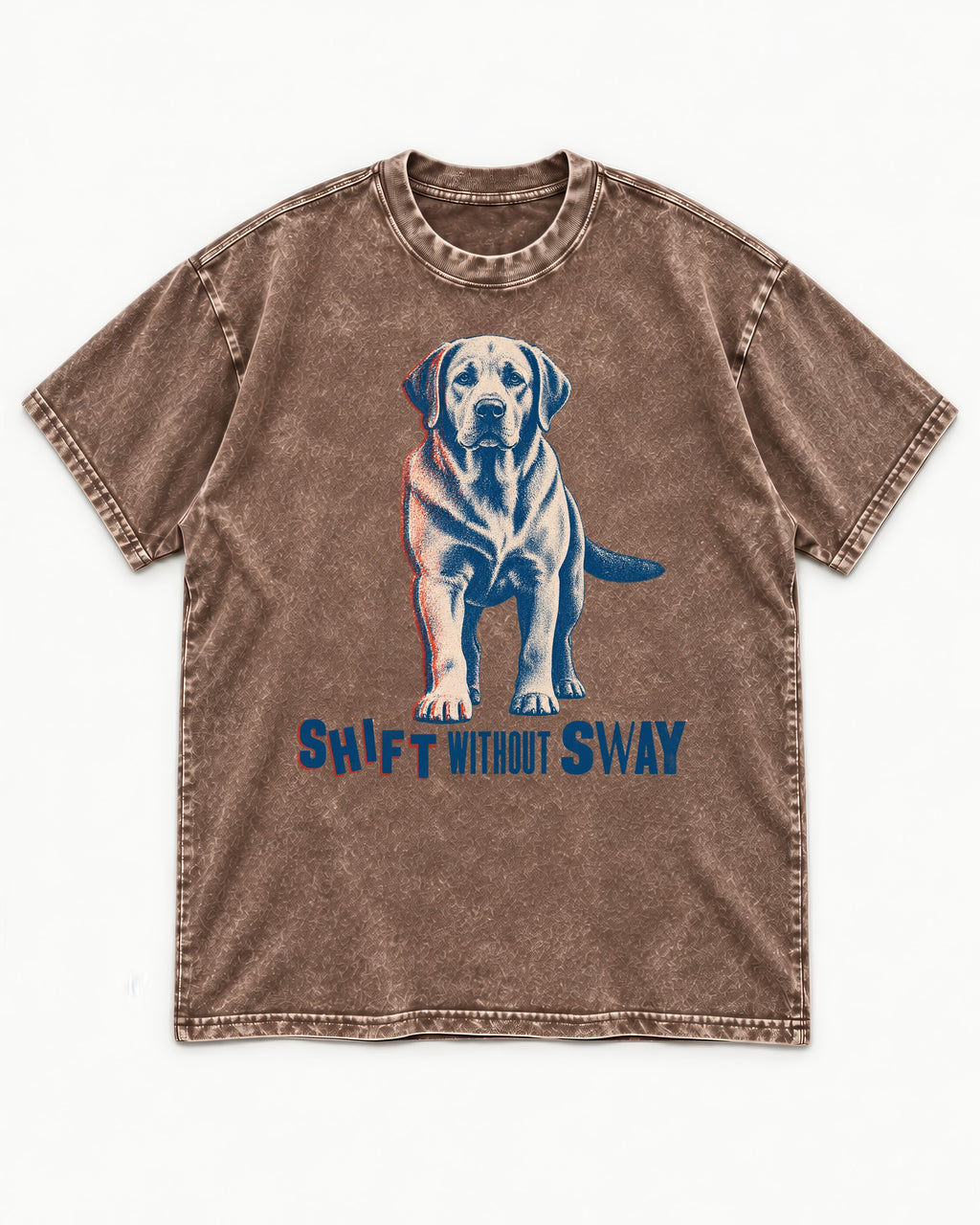 Shift Without Sway Labrador Retriever Washed Tee in Coffee, flat lay product photo