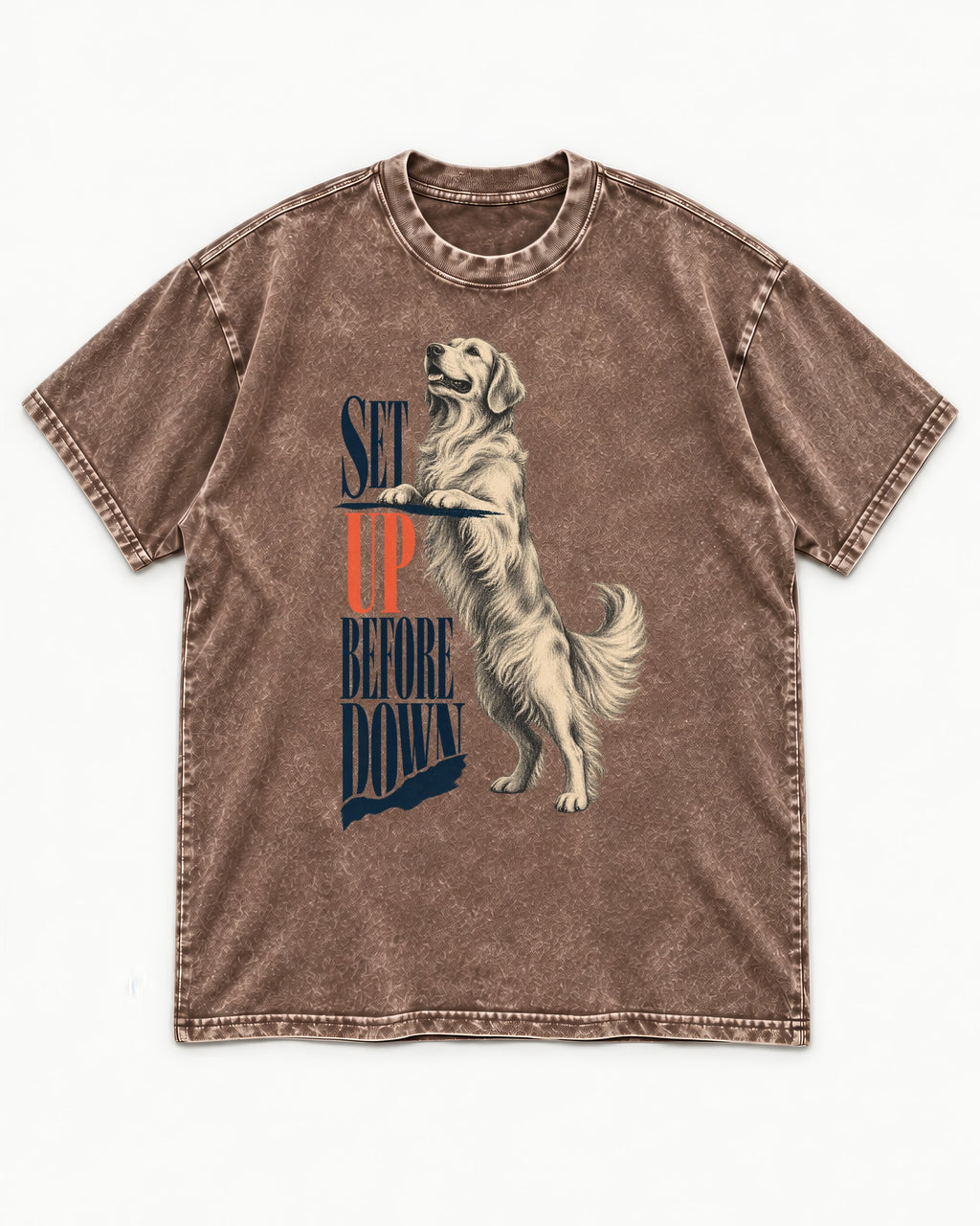 Golden Retriever Set Up Before Down Washed Tee in Coffee, flat lay product photo