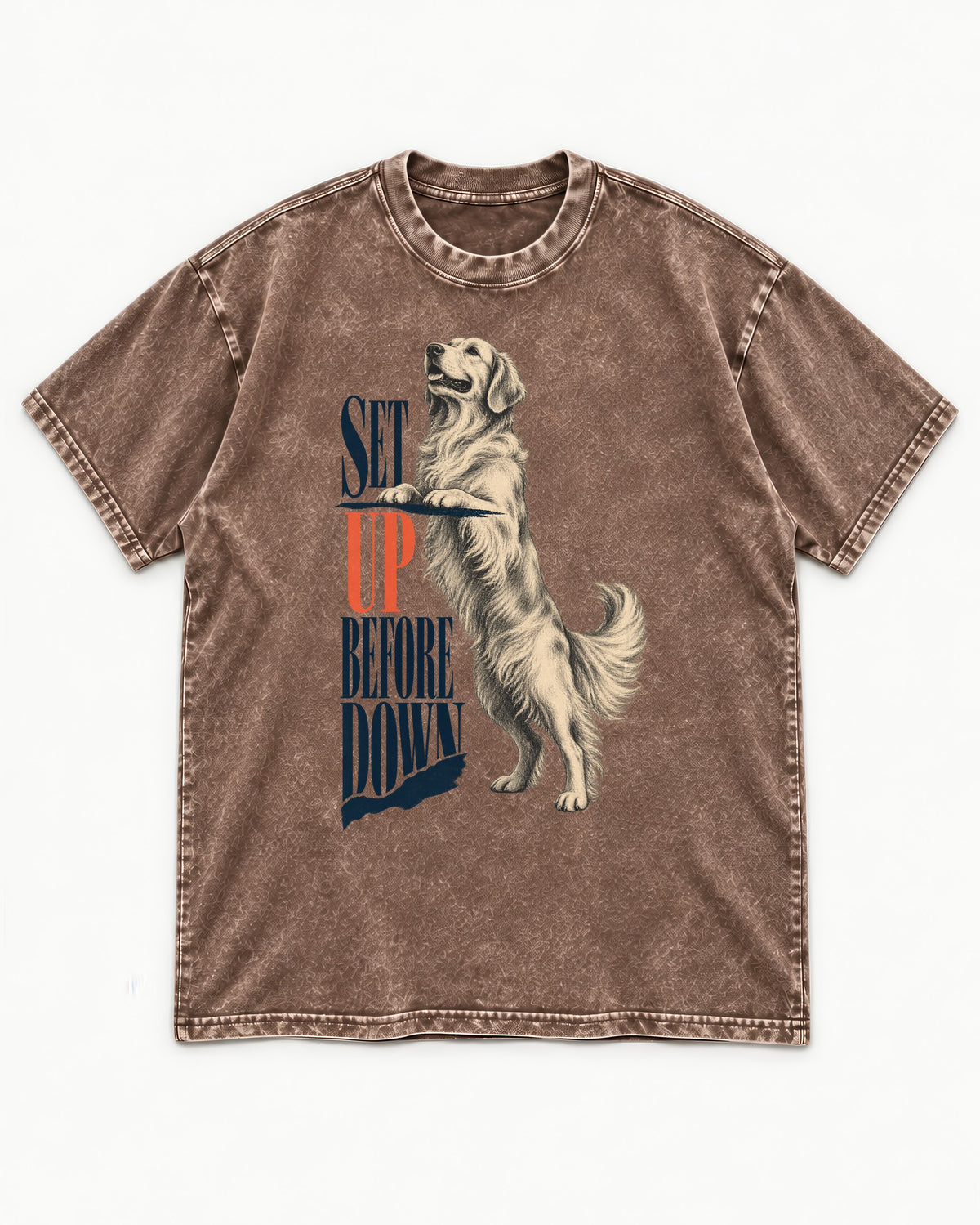 Golden Retriever Set Up Before Down Washed Tee in Coffee, flat lay product photo
