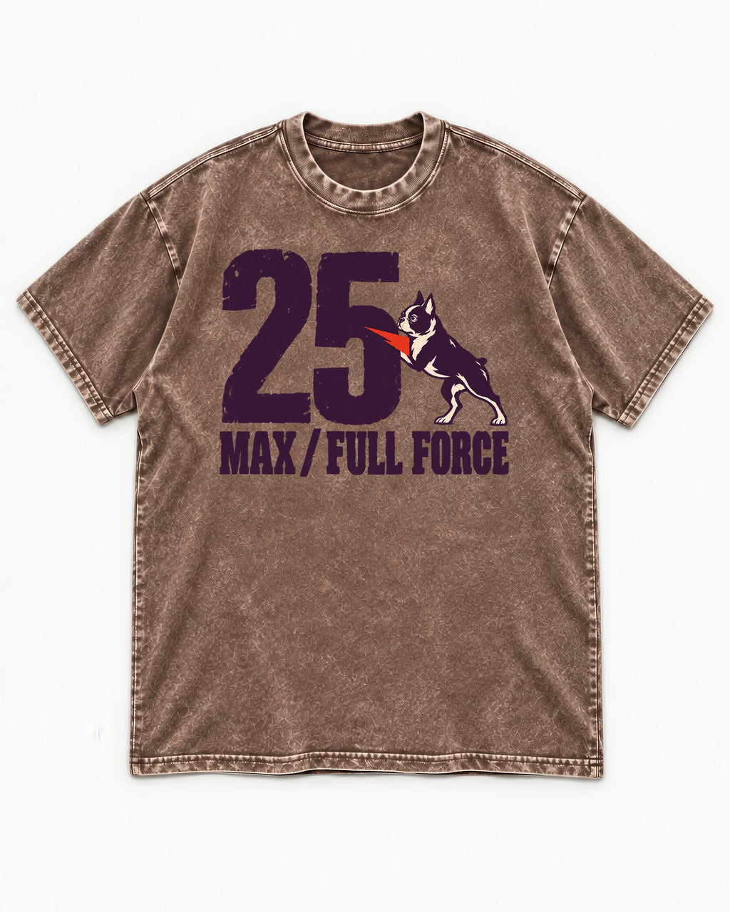 Boston Terrier Full Force Washed Tee in Coffee, flat lay product photo