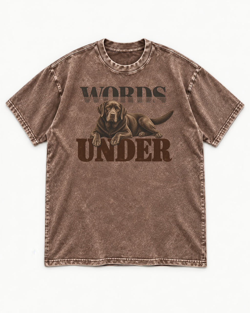 Words Under Labrador Retriever Washed Tee in Coffee, flat lay product photo