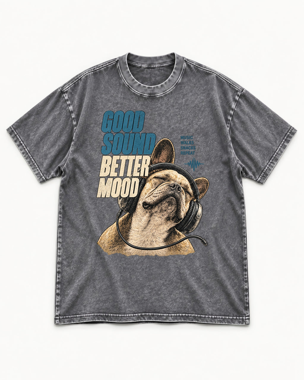 Frenchie Look a Little Left Orbit Graphic Washed Tee in Gray, flat lay product photo