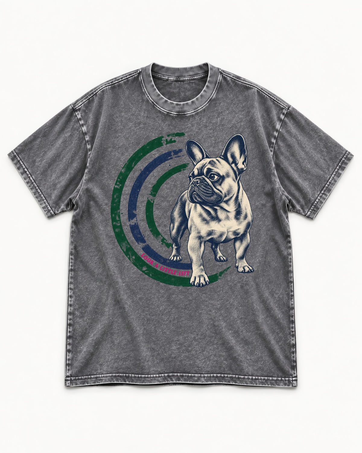 Frenchie Look a Little Left Orbit Graphic Washed Tee in Gray, flat lay product photo