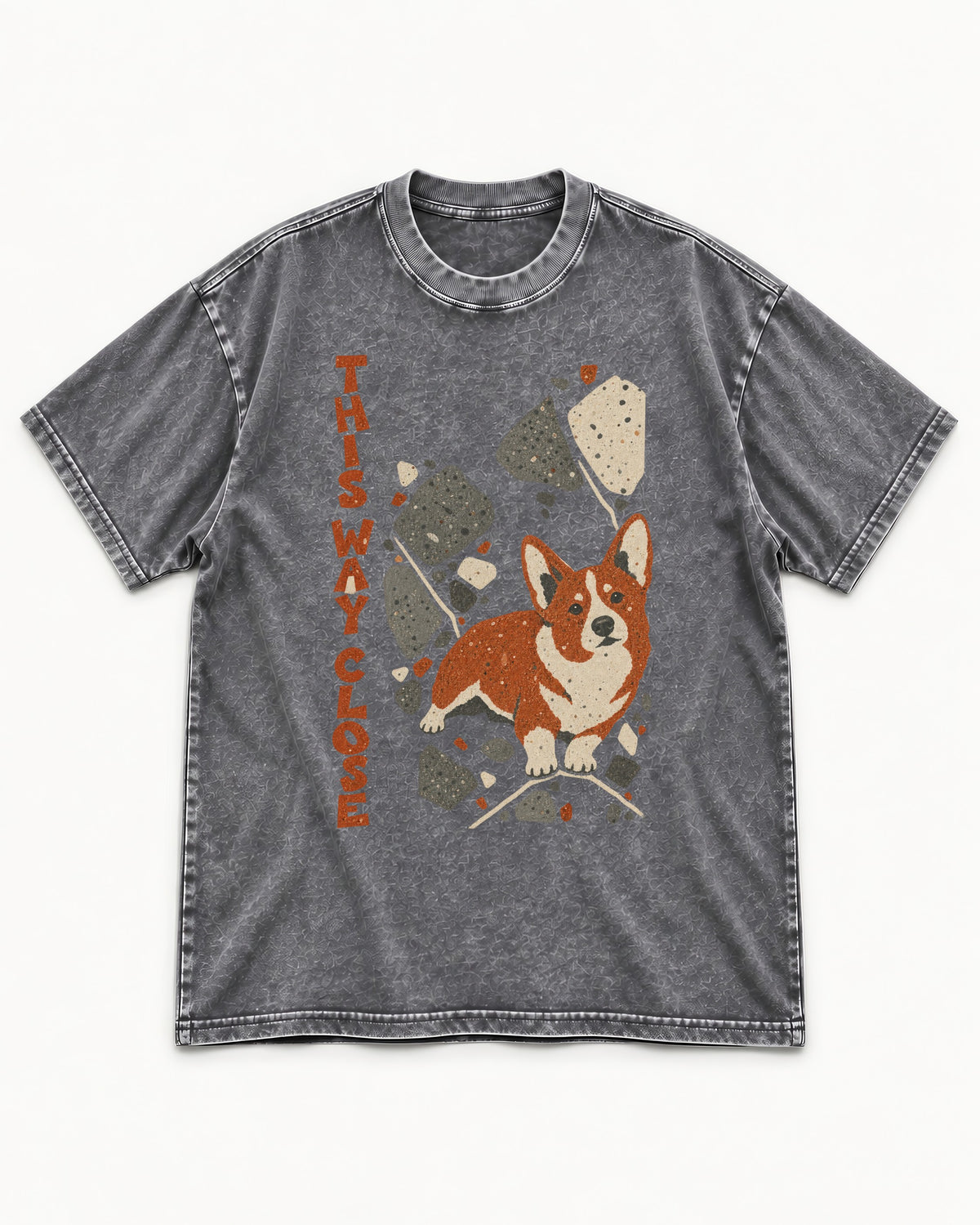 Corgi This Way Close Rubble Graphic Washed Tee in Gray, flat lay product photo